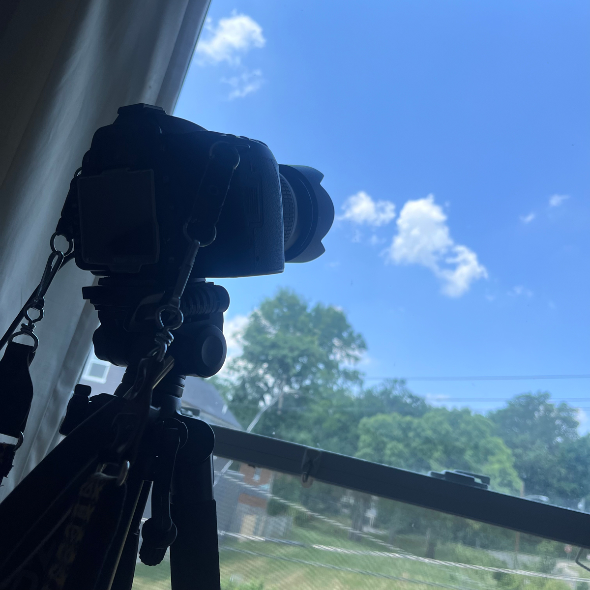 Doomscroll timelapse setup