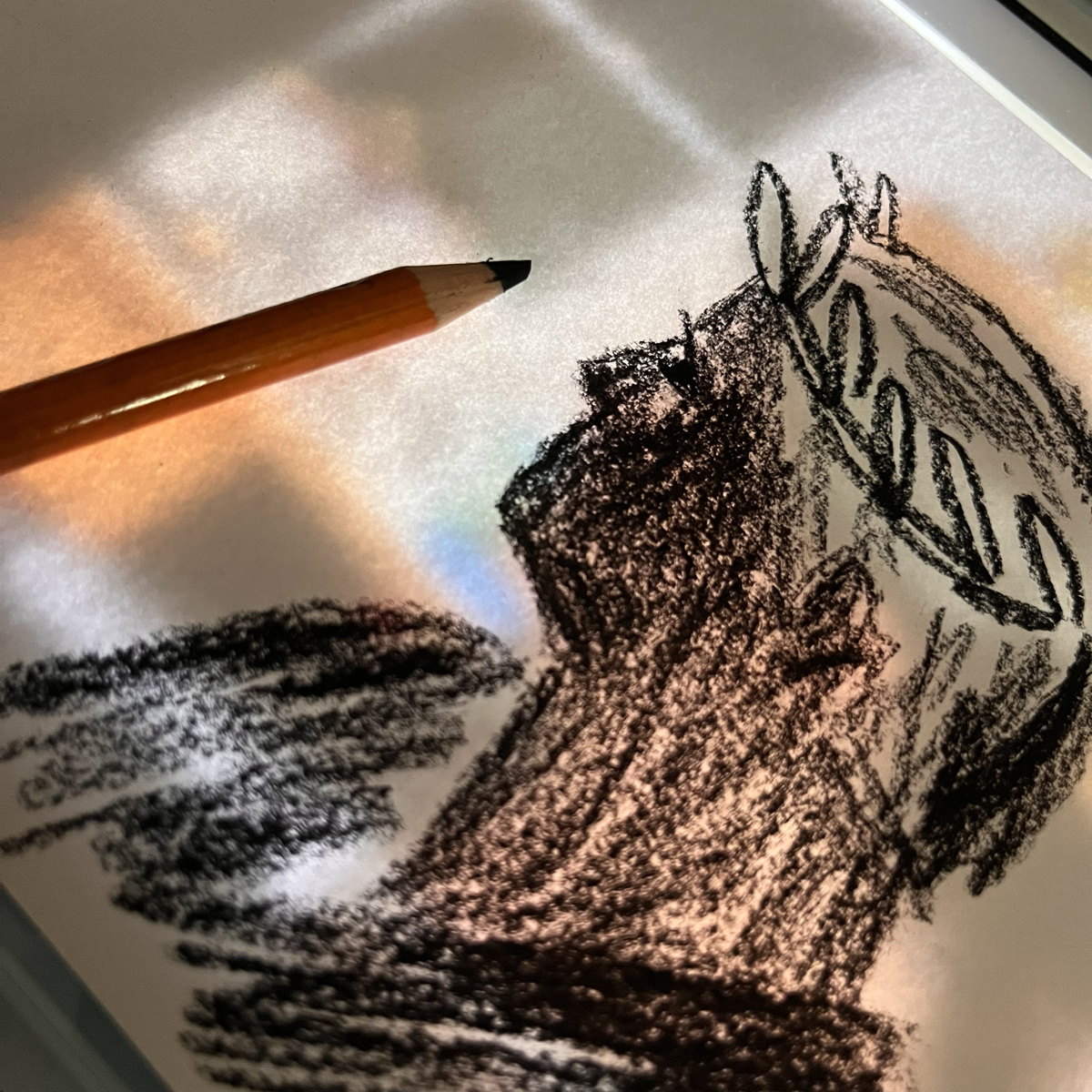 Charcoal drawing of the duke