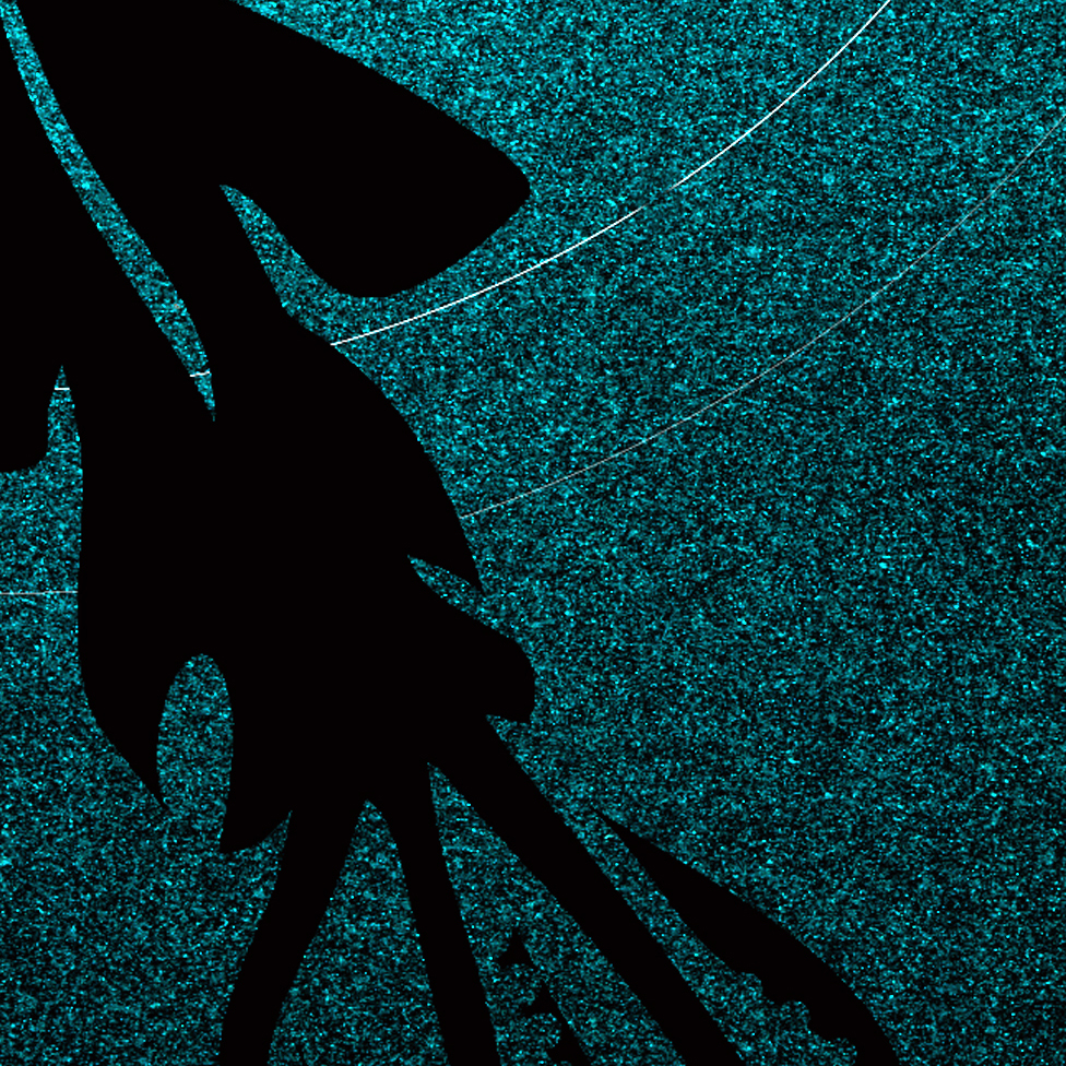 Deep Sea illustration with a squid